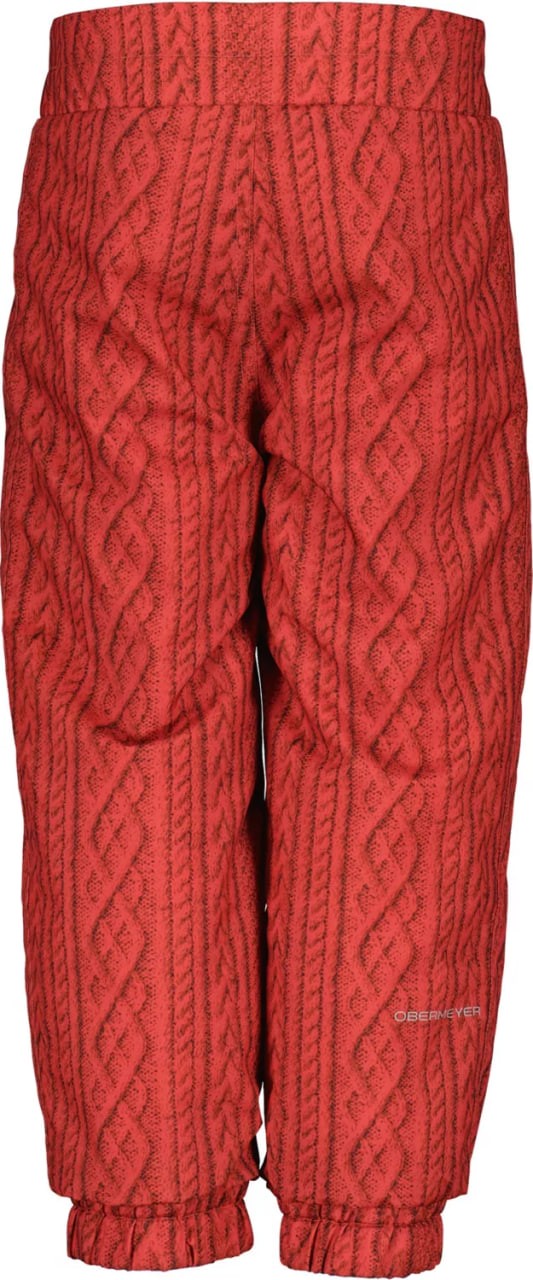 Obermeyer Youth Campbell Snow Pants